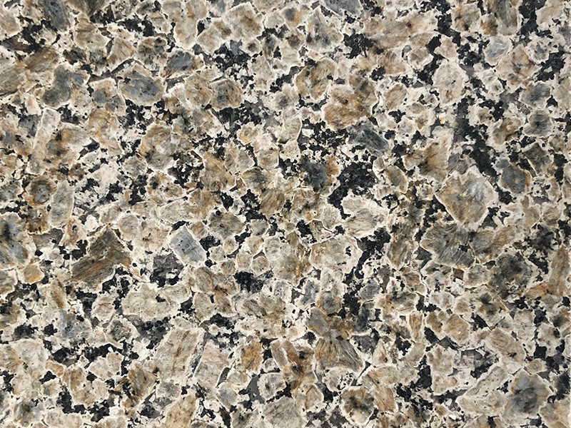 黄金钻4号